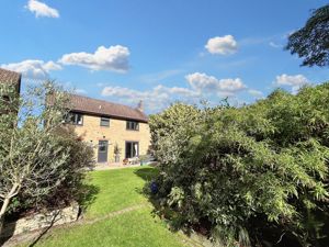 Garden- click for photo gallery